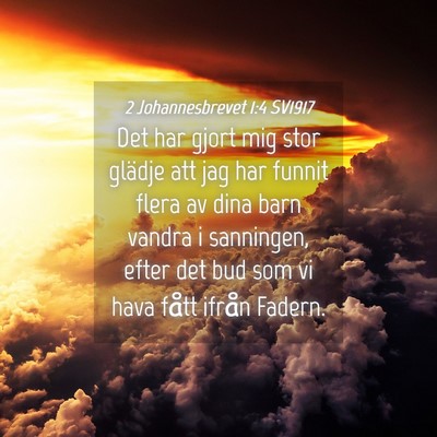 Picture 04 - 2 Johannesbrevet 1:4 SV1917 - Det har gjort mig stor glädje att jag har funnit - Bible Verse Picture