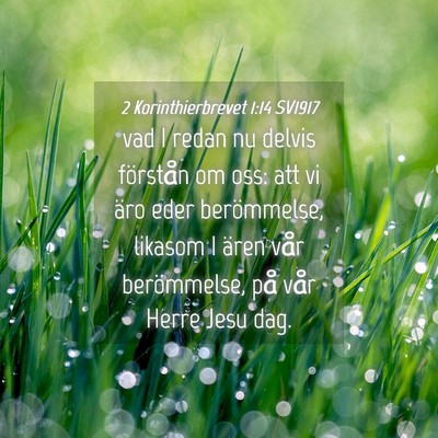 Picture 04 - 2 Korinthierbrevet 1:14 SV1917 - vad I redan nu delvis förstån om oss: att vi - Bible Verse Picture