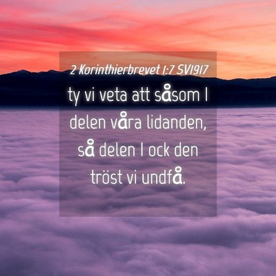 Picture 04 - 2 Korinthierbrevet 1:7 SV1917 - ty vi veta att såsom I delen våra lidanden, så - Bible Verse Picture