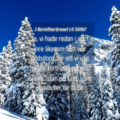 Picture 04 - 2 Korinthierbrevet 1:9 SV1917 - Ja, vi hade redan i vårt inre likasom fått vår - Bible Verse Picture