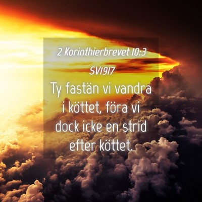 Picture 04 - 2 Korinthierbrevet 10:3 SV1917 - Ty fastän vi vandra i köttet, föra vi dock - Bible Verse Picture
