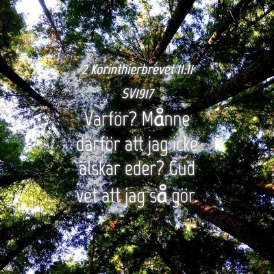 Picture 04 - 2 Korinthierbrevet 11:11 SV1917 - Varför? Månne därför att jag icke älskar - Bible Verse Picture