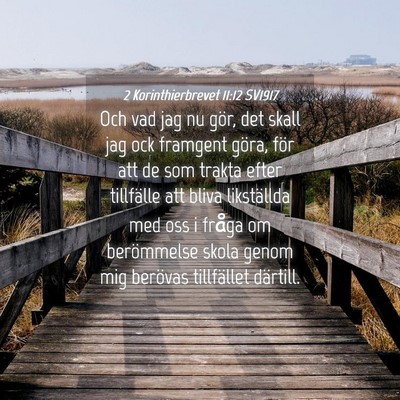 Picture 04 - 2 Korinthierbrevet 11:12 SV1917 - Och vad jag nu gör, det skall jag ock framgent - Bible Verse Picture