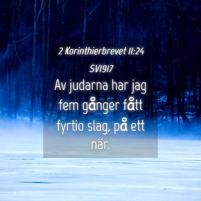 Picture 04 - 2 Korinthierbrevet 11:24 SV1917 - Av judarna har jag fem gånger fått fyrtio slag, - Bible Verse Picture