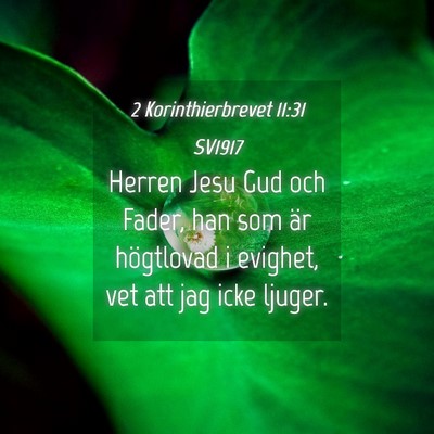 Picture 04 - 2 Korinthierbrevet 11:31 SV1917 - Herren Jesu Gud och Fader, han som är högtlovad - Bible Verse Picture
