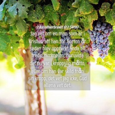 Picture 04 - 2 Korinthierbrevet 12:2 SV1917 - Jag vet om en man som är i Kristus, att han för - Bible Verse Picture