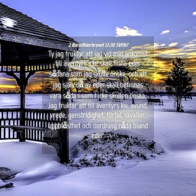 Picture 04 - 2 Korinthierbrevet 12:20 SV1917 - Ty jag fruktar att jag vid min ankomst till - Bible Verse Picture