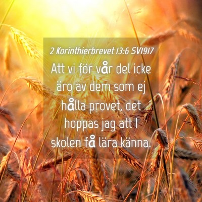 Picture 04 - 2 Korinthierbrevet 13:6 SV1917 - Att vi för vår del icke äro av dem som ej - Bible Verse Picture