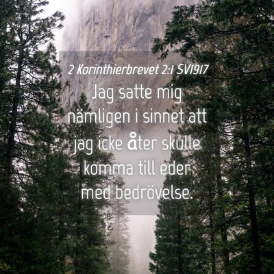 Picture 04 - 2 Korinthierbrevet 2:1 SV1917 - Jag satte mig nämligen i sinnet att jag icke - Bible Verse Picture