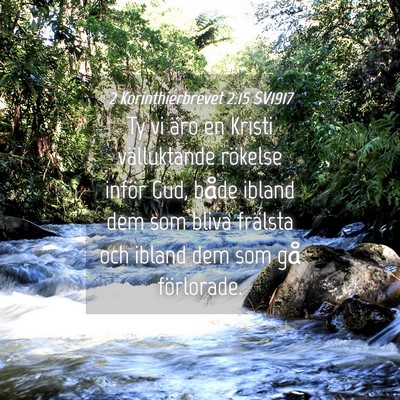 Picture 04 - 2 Korinthierbrevet 2:15 SV1917 - Ty vi äro en Kristi välluktande rökelse inför - Bible Verse Picture
