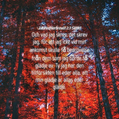 Picture 04 - 2 Korinthierbrevet 2:3 SV1917 - Och vad jag skrev, det skrev jag, för att jag - Bible Verse Picture