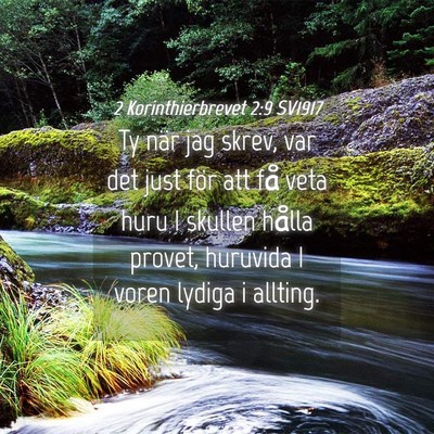 Picture 04 - 2 Korinthierbrevet 2:9 SV1917 - Ty när jag skrev, var det just för att få veta - Bible Verse Picture