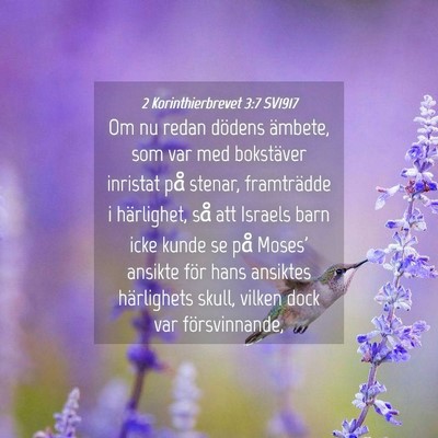 Picture 04 - 2 Korinthierbrevet 3:7 SV1917 - Om nu redan dödens ämbete, som var med - Bible Verse Picture