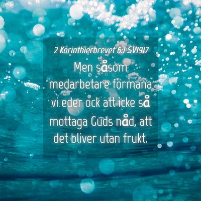 Picture 04 - 2 Korinthierbrevet 6:1 SV1917 - Men såsom medarbetare förmana vi eder ock att - Bible Verse Picture
