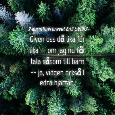 Picture 04 - 2 Korinthierbrevet 6:13 SV1917 - Given oss då lika för lika -- om jag nu får - Bible Verse Picture