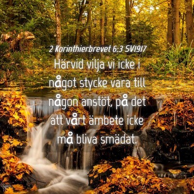 Picture 04 - 2 Korinthierbrevet 6:3 SV1917 - Härvid vilja vi icke i något stycke vara till - Bible Verse Picture