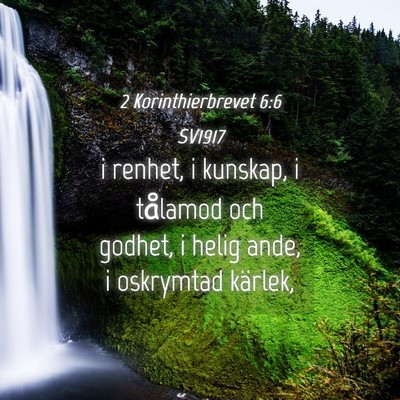 Picture 04 - 2 Korinthierbrevet 6:6 SV1917 - i renhet, i kunskap, i tålamod och godhet, i - Bible Verse Picture