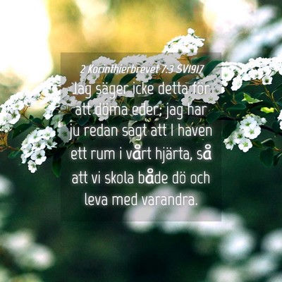 Picture 04 - 2 Korinthierbrevet 7:3 SV1917 - Jag säger icke detta för att döma eder; jag - Bible Verse Picture