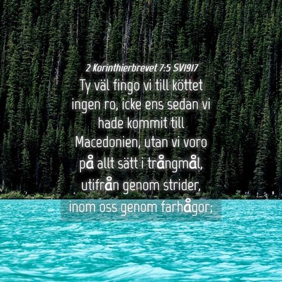 Picture 04 - 2 Korinthierbrevet 7:5 SV1917 - Ty väl fingo vi till köttet ingen ro, icke ens - Bible Verse Picture