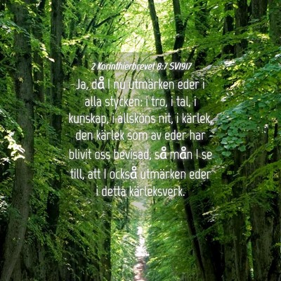 Picture 04 - 2 Korinthierbrevet 8:7 SV1917 - Ja, då I nu utmärken eder i alla stycken: i - Bible Verse Picture