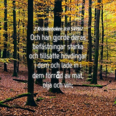Picture 04 - 2 Krönikeboken 11:11 SV1917 - Och han gjorde deras befästningar starka och - Bible Verse Picture