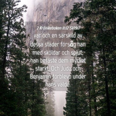 Picture 04 - 2 Krönikeboken 11:12 SV1917 - var och en särskild av dessa städer försåg - Bible Verse Picture
