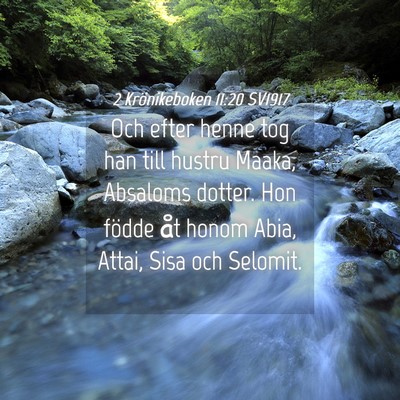 Picture 04 - 2 Krönikeboken 11:20 SV1917 - Och efter henne tog han till hustru Maaka, - Bible Verse Picture