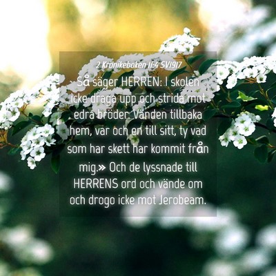 Picture 04 - 2 Krönikeboken 11:4 SV1917 - Så säger HERREN: I skolen icke draga upp och - Bible Verse Picture