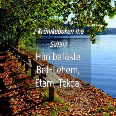 Picture 04 - 2 Krönikeboken 11:6 SV1917 - Han befäste Bet-Lehem, Etam, - Bible Verse Picture