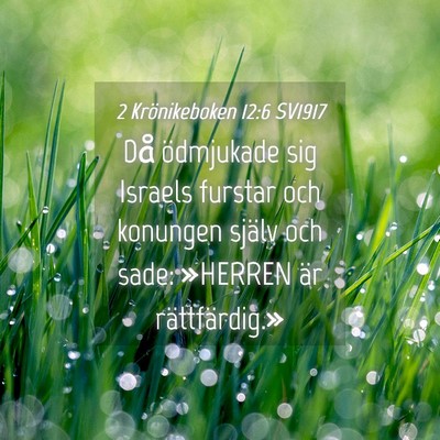 Picture 04 - 2 Krönikeboken 12:6 SV1917 - Då ödmjukade sig Israels furstar och konungen - Bible Verse Picture
