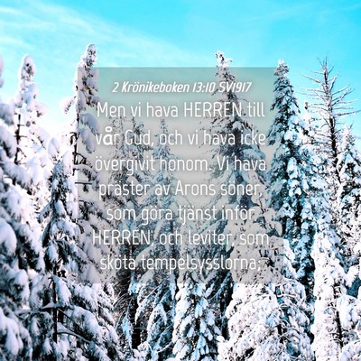 Picture 04 - 2 Krönikeboken 13:10 SV1917 - Men vi hava HERREN till vår Gud, och vi hava - Bible Verse Picture