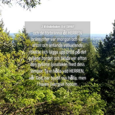 Picture 04 - 2 Krönikeboken 13:11 SV1917 - och de förbränna åt HERREN brännoffer var - Bible Verse Picture