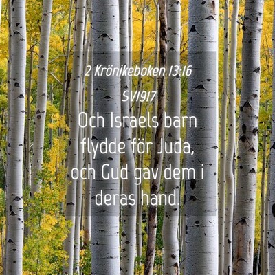 Picture 04 - 2 Krönikeboken 13:16 SV1917 - Och Israels barn flydde för Juda, och Gud gav - Bible Verse Picture