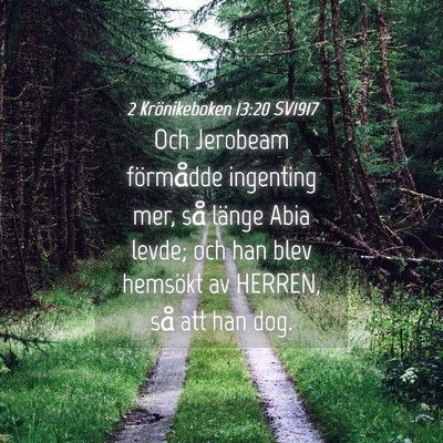 Picture 04 - 2 Krönikeboken 13:20 SV1917 - Och Jerobeam förmådde ingenting mer, så länge - Bible Verse Picture