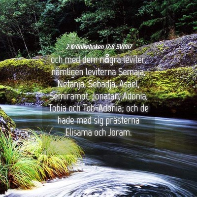 Picture 04 - 2 Krönikeboken 17:8 SV1917 - och med dem några leviter, nämligen leviterna - Bible Verse Picture