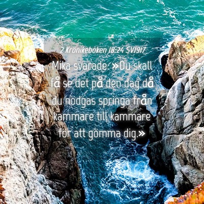 Picture 04 - 2 Krönikeboken 18:24 SV1917 - Mika svarade: »Du skall få se det på den dag - Bible Verse Picture