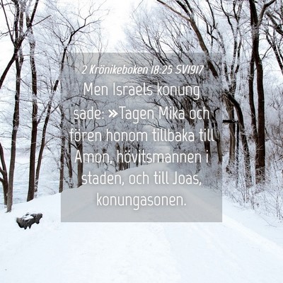 Picture 04 - 2 Krönikeboken 18:25 SV1917 - Men Israels konung sade: »Tagen Mika och fören - Bible Verse Picture