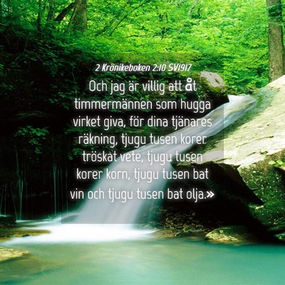 Picture 04 - 2 Krönikeboken 2:10 SV1917 - Och jag är villig att åt timmermännen som - Bible Verse Picture