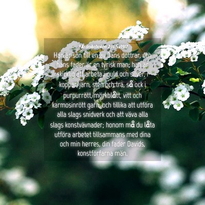 Picture 04 - 2 Krönikeboken 2:14 SV1917 - Han är son till en av Dans döttrar, och hans - Bible Verse Picture