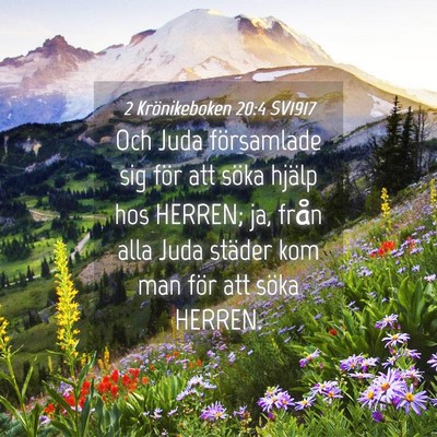 Picture 04 - 2 Krönikeboken 20:4 SV1917 - Och Juda församlade sig för att söka hjälp - Bible Verse Picture