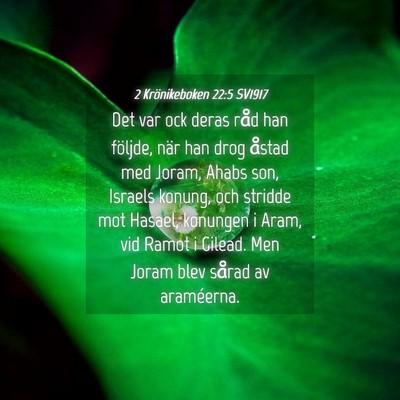 Picture 04 - 2 Krönikeboken 22:5 SV1917 - Det var ock deras råd han följde, när han drog - Bible Verse Picture