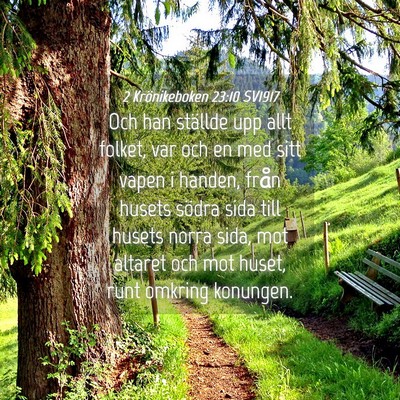 Picture 04 - 2 Krönikeboken 23:10 SV1917 - Och han ställde upp allt folket, var och en med - Bible Verse Picture