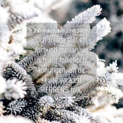 Picture 04 - 2 Krönikeboken 23:16 SV1917 - Och Jojada slöt ett förbund mellan sig och allt - Bible Verse Picture