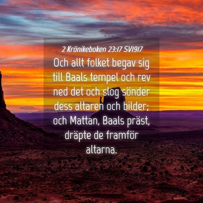 Picture 04 - 2 Krönikeboken 23:17 SV1917 - Och allt folket begav sig till Baals tempel och - Bible Verse Picture