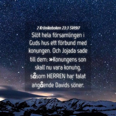 Picture 04 - 2 Krönikeboken 23:3 SV1917 - Slöt hela församlingen i Guds hus ett förbund - Bible Verse Picture
