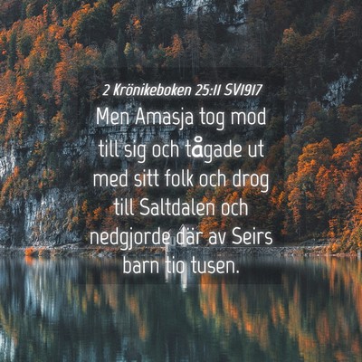Picture 04 - 2 Krönikeboken 25:11 SV1917 - Men Amasja tog mod till sig och tågade ut med - Bible Verse Picture