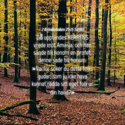 Picture 04 - 2 Krönikeboken 25:15 SV1917 - Då upptändes HERRENS vrede mot Amasja, och han - Bible Verse Picture
