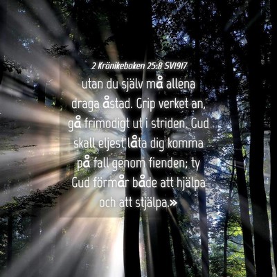 Picture 04 - 2 Krönikeboken 25:8 SV1917 - utan du själv må allena draga åstad. Grip - Bible Verse Picture