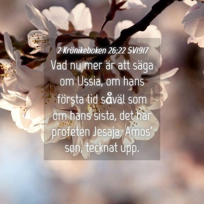 Picture 04 - 2 Krönikeboken 26:22 SV1917 - Vad nu mer är att säga om Ussia, om hans - Bible Verse Picture