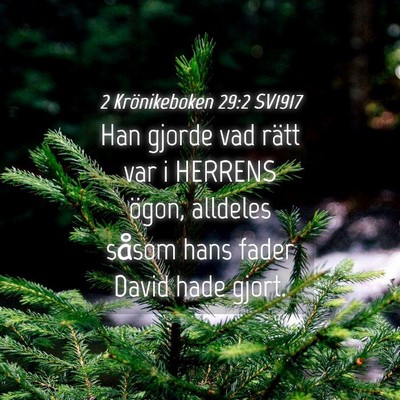 Picture 04 - 2 Krönikeboken 29:2 SV1917 - Han gjorde vad rätt var i HERRENS ögon, - Bible Verse Picture